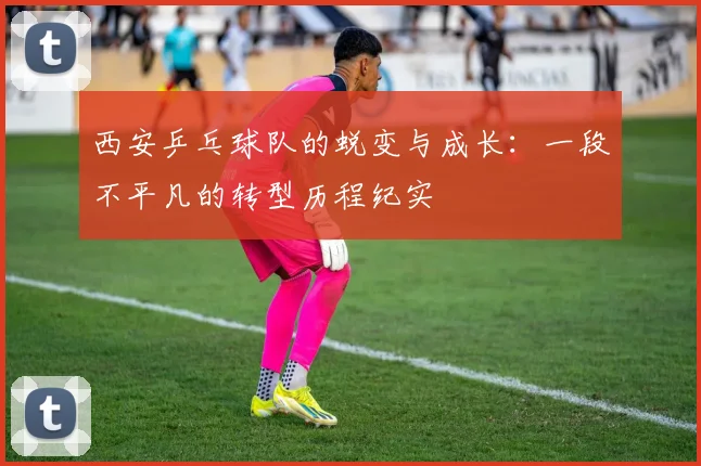 西安乒乓球队的蜕变与成长：一段不平凡的转型历程纪实