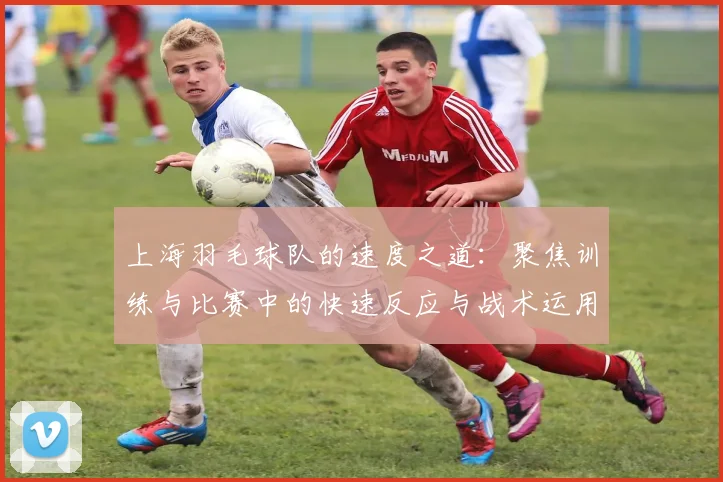 上海羽毛球队的速度之道：聚焦训练与比赛中的快速反应与战术运用