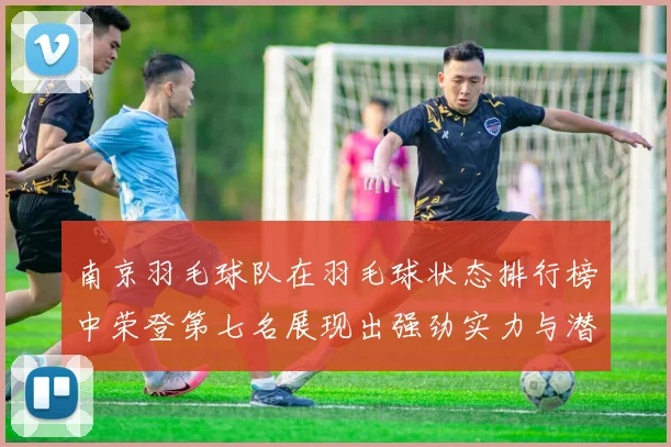 南京羽毛球队在羽毛球状态排行榜中荣登第七名展现出强劲实力与潜力