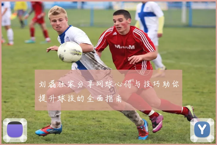 刘磊独家分享网球心得与技巧助你提升球技的全面指南
