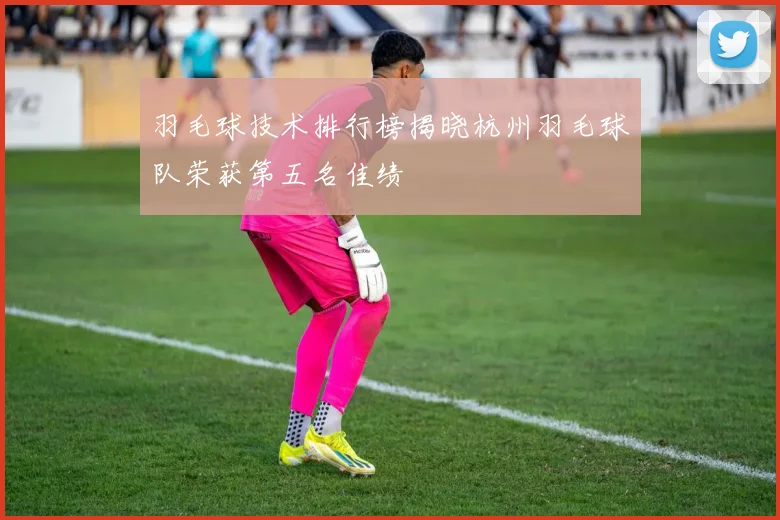 羽毛球技术排行榜揭晓杭州羽毛球队荣获第五名佳绩