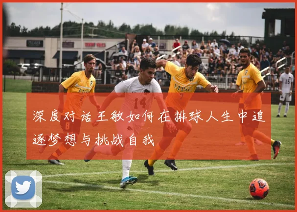 深度对话王敏如何在排球人生中追逐梦想与挑战自我