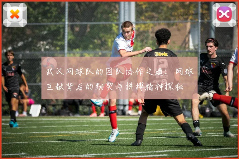 武汉网球队的团队协作之道：网球巨献背后的默契与拼搏精神探秘