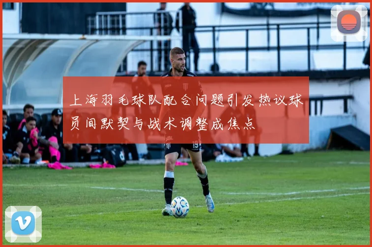 上海羽毛球队配合问题引发热议球员间默契与战术调整成焦点