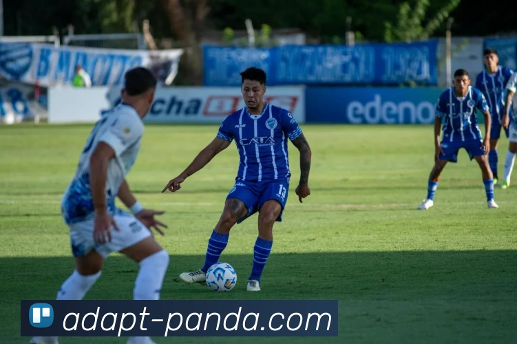 熊猫体育发展历程